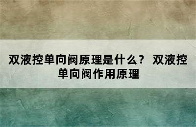 双液控单向阀原理是什么？ 双液控单向阀作用原理